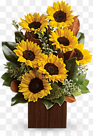 sunflower happiness - flowers - you're golden bouquet by teleflora
