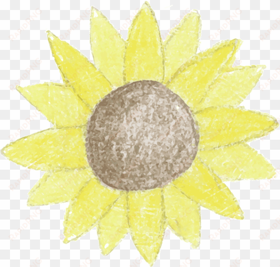 Sunflower - Kreative Transparentpapier Sterne transparent png image