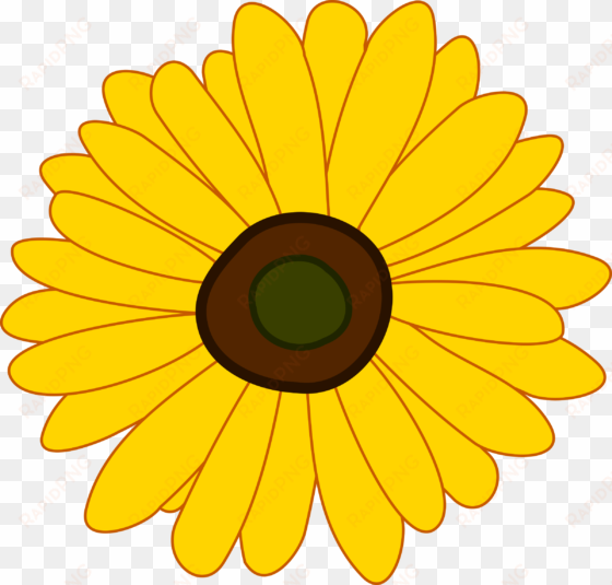 sunflower png