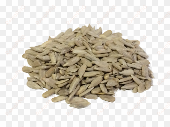 sunflower seeds png