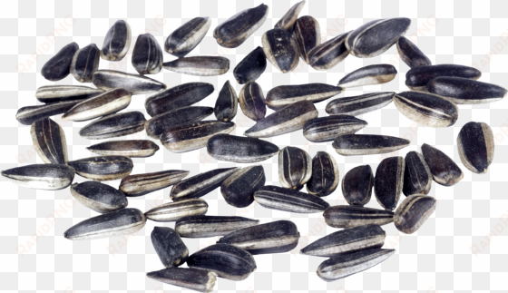 sunflower seeds png image - Семечки Подсолнуха png