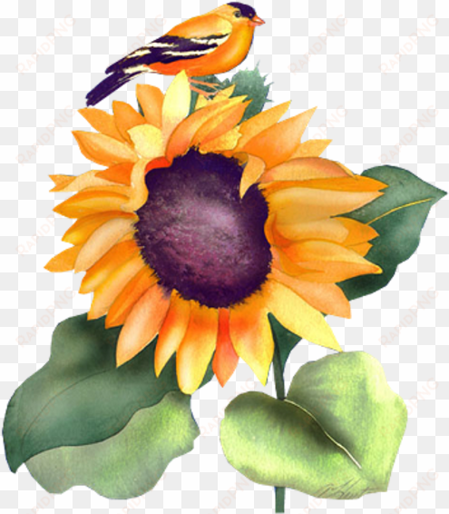 sunflowers animals - .net