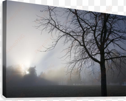 sunrays through fog canvas print - sunrays through fog canvas art - craig tuttle design