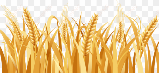 svg freeuse library barley vector head - wheat png