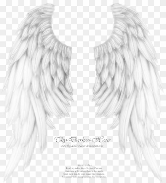 svg library download angels drawing realistic - white angel wings transparent