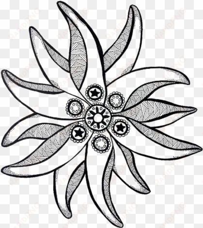 svg royalty free edelweiss drawing - edelweiss draw