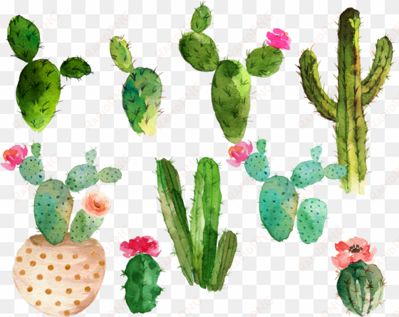 svg royalty free library cactaceae watercolor painting - cactus with flowers watercolor