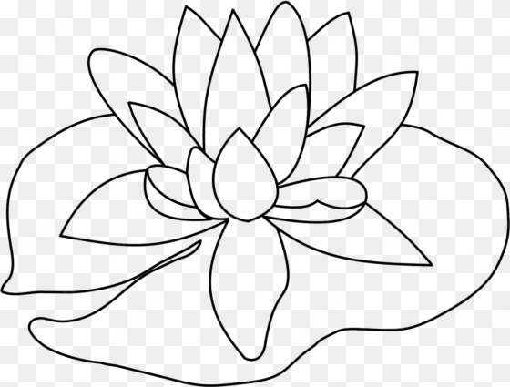 svg stock collection of high quality - drawing of a lily pad