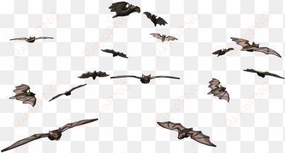 swarm of bats - bat