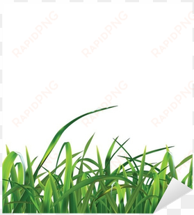 Sweet Grass transparent png image