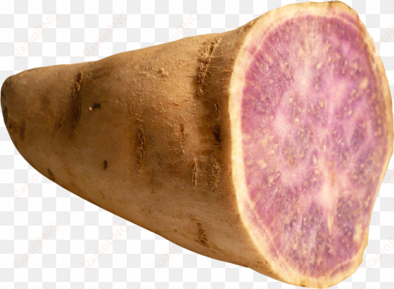 sweet potato yam png image - yam png