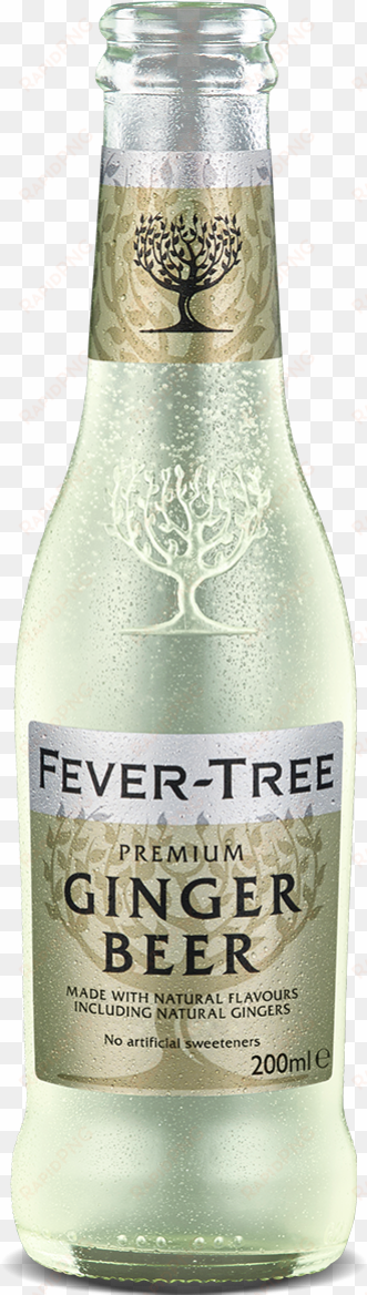 switch to created with sketch - fever-tree premium ginger beer, 6.8 ounce glass bottles