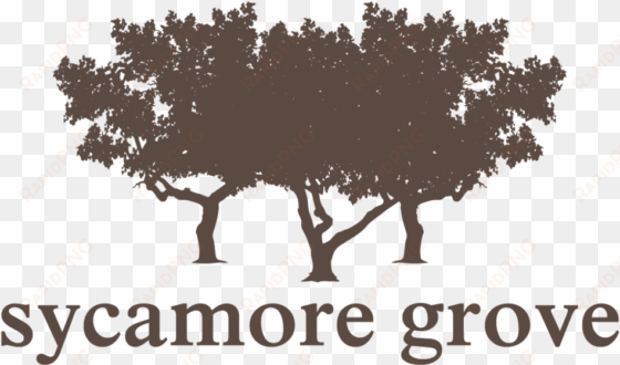 sycamore grove svg freeuse download - logo