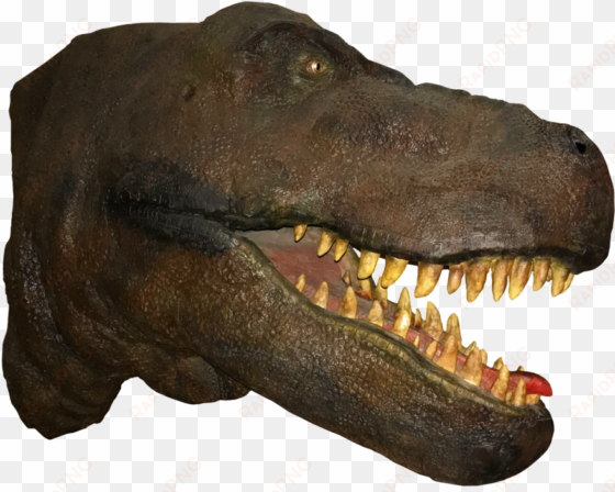 t rex head png