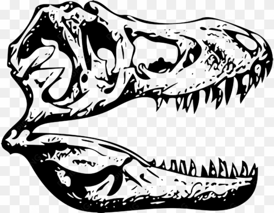 t-rex tyrannosaurus fossil - t rex skull clip art