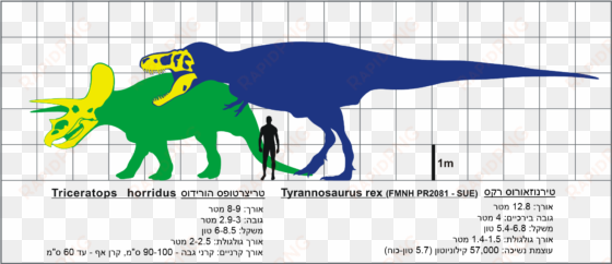 t rex ve triceratops svg hebrew - rex dinosaur taxonomy