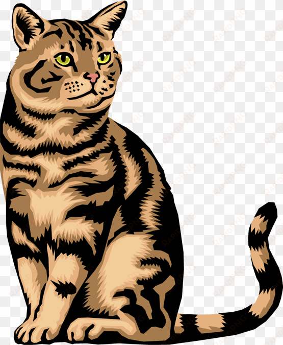 tabby cat clipart transparent - animals do not lay eggs