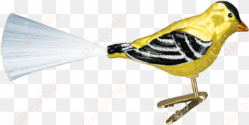 take a look at our western goldfinch 18038 old world - christmas ornament