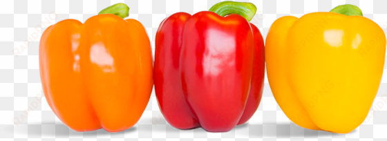 tap the peppers to unveil the facts - red orange peppers png