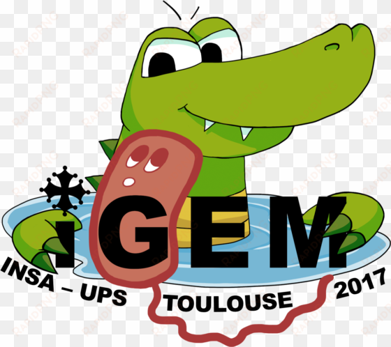 team - insa-ups france/microbioworld - 2017 - igem - international genetically engineered machine