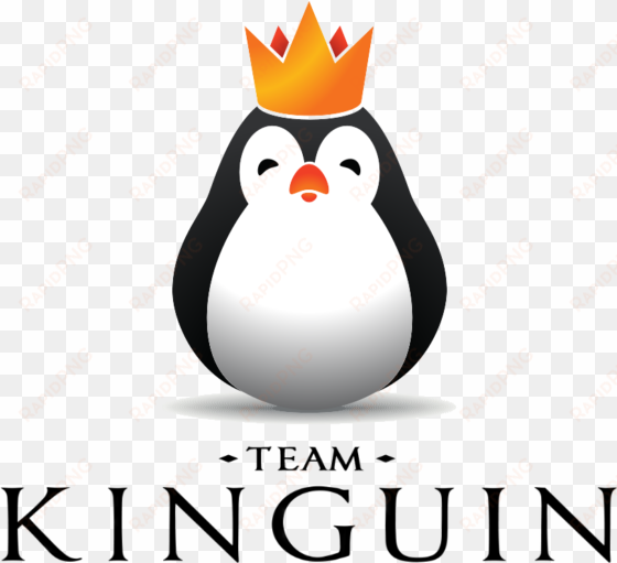 team kinguinlogo square - team kinguin logo png