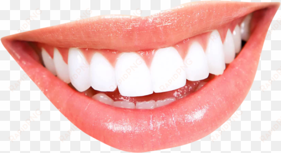 teeth png