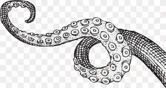 tentacle - tentacles drawing