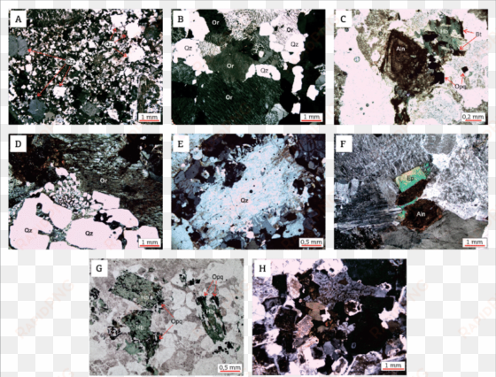 textural aspects photomicrographs of the studied rocks - collage