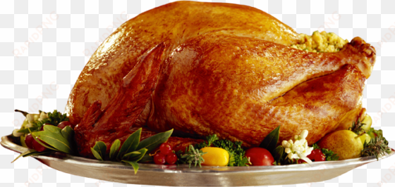 thanksgiving png photo - thanksgiving turkey transparent