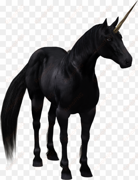 the black horse background transprent png - black unicorn with no background