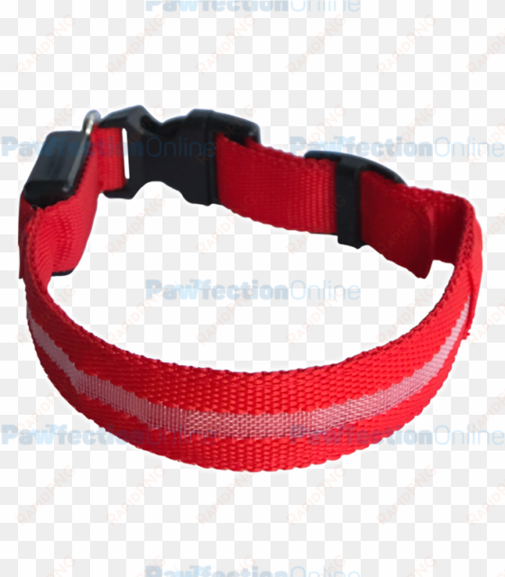 the durable nylon red led dog collar is part of the - dog collar