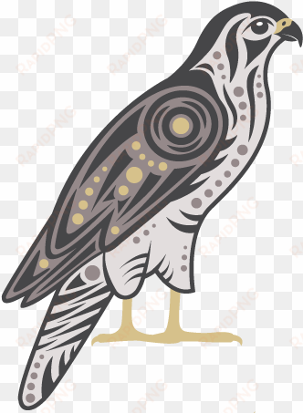 the falcon in legend and mythology - falcon symbol png