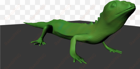 the green lizard lizard - carolina anole