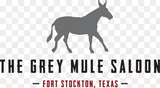 the grey mule saloon - the grey mule saloon -