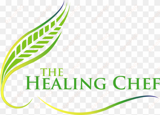 the healing chef - newport beach chamber of commerce