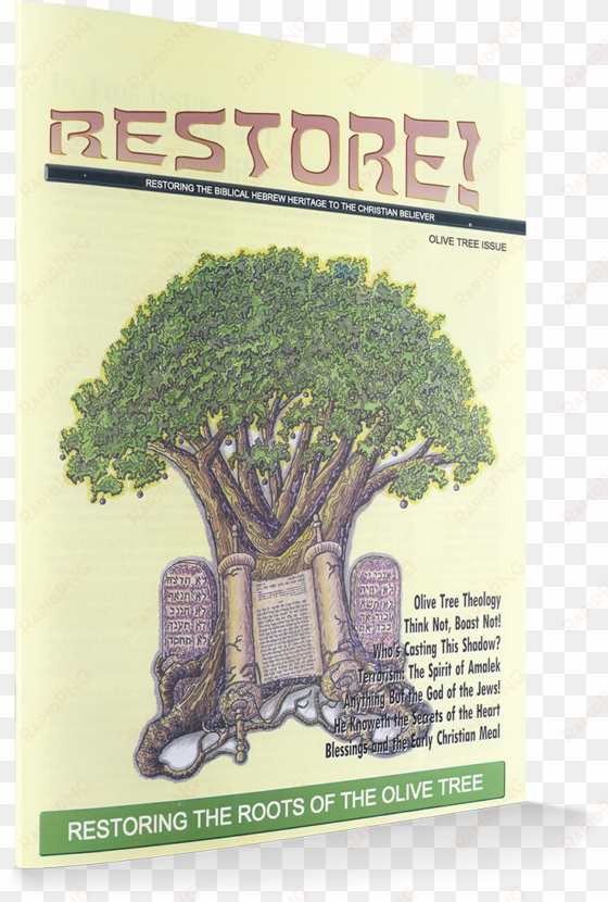 the olive tree is a symbol of god's family tree of - oak