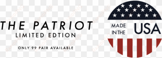"the patriot" skis logo - span usa