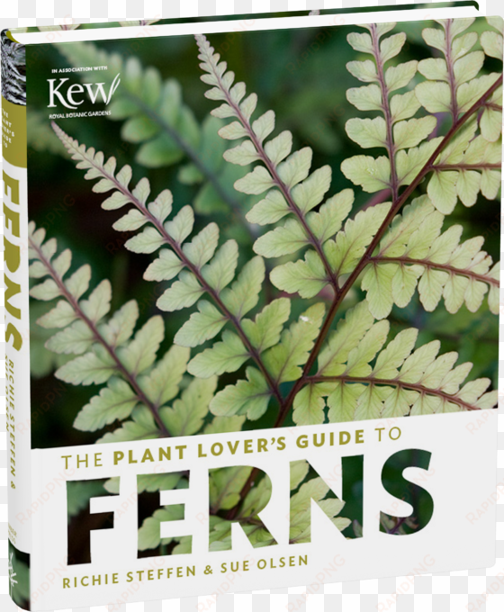 the plant lover's guide to ferns