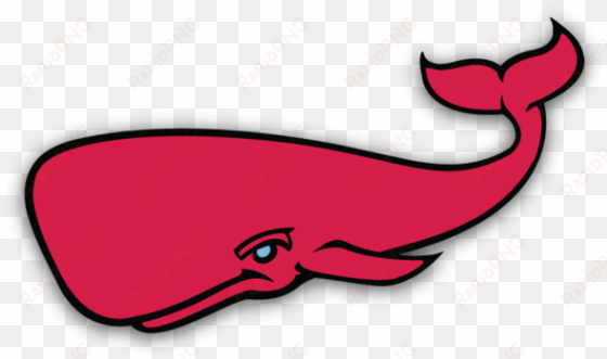 the red whale logo - red whale