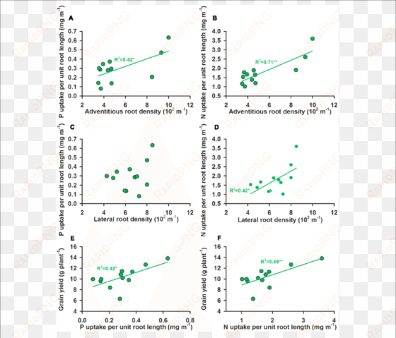 the relationships between a p uptake per unit root - .org
