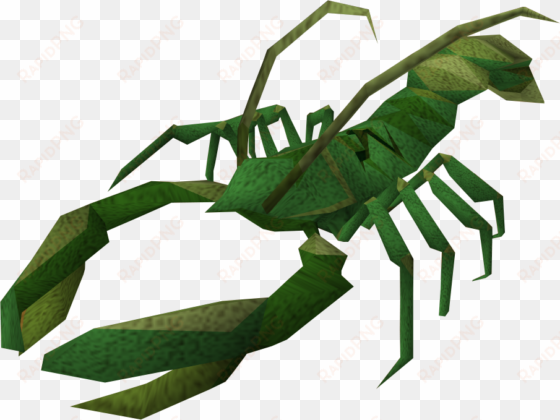 The Runescape Wiki - Lobster transparent png image