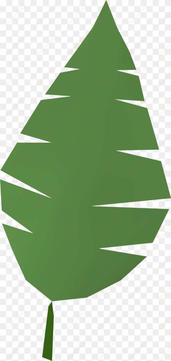 the runescape wiki - palm tree leaf clipart