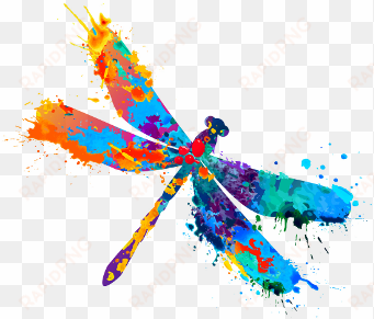 the science behind telling better stories to connect - dragonfly watercolor vector