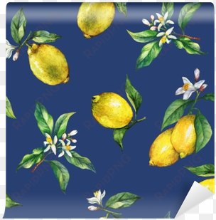 the seamless pattern of the branches of fresh citrus - watercolor painting