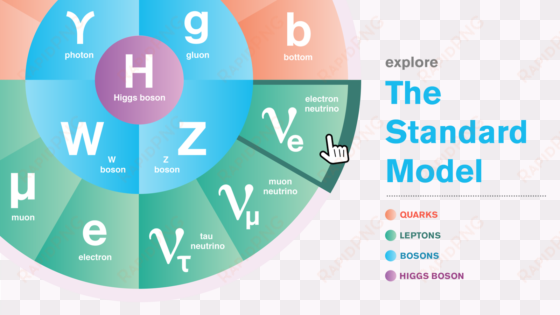 the standard model of particle physics - standard model of particle physics