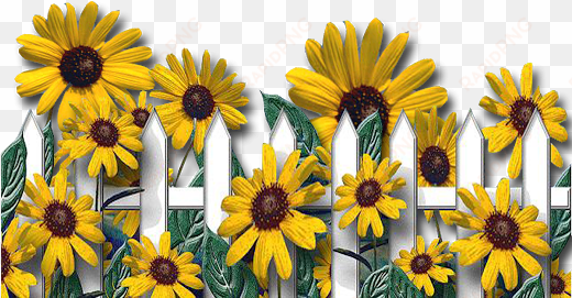 the sunflower, printable paper, flower pots, flowers, - sunflower happy birthday letter