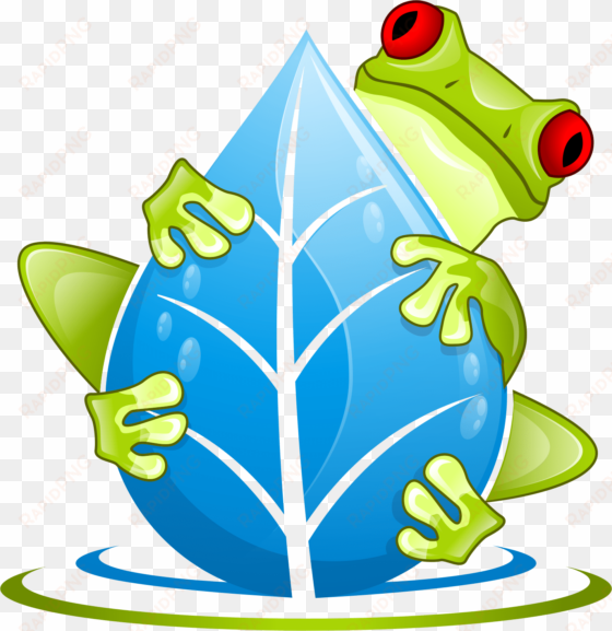 the swamp school just frog png - frog falling down png
