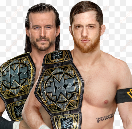the tag one is just adam's original with bobby fish's - wwe adam cole nxt tag team champion