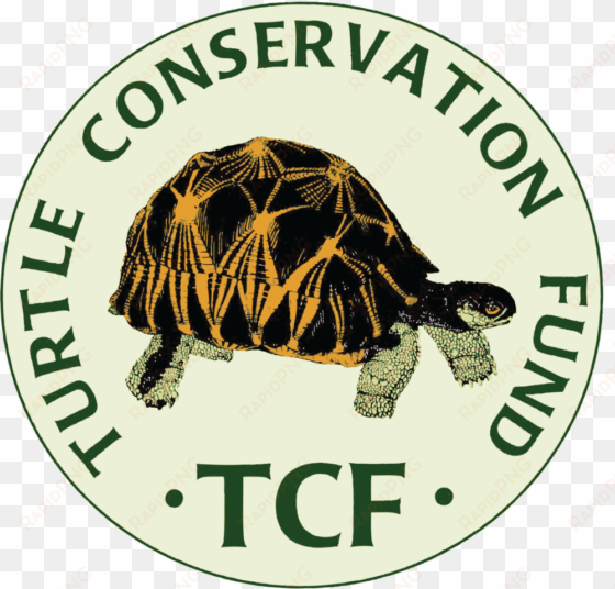 the turtle conservation coalition - turtle conservation fund logo