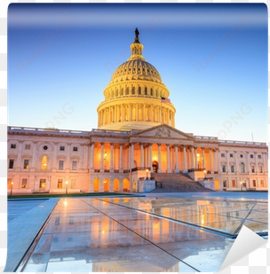 the united states capitol building wall mural • pixers® - delivering health care in america by leiyu shi